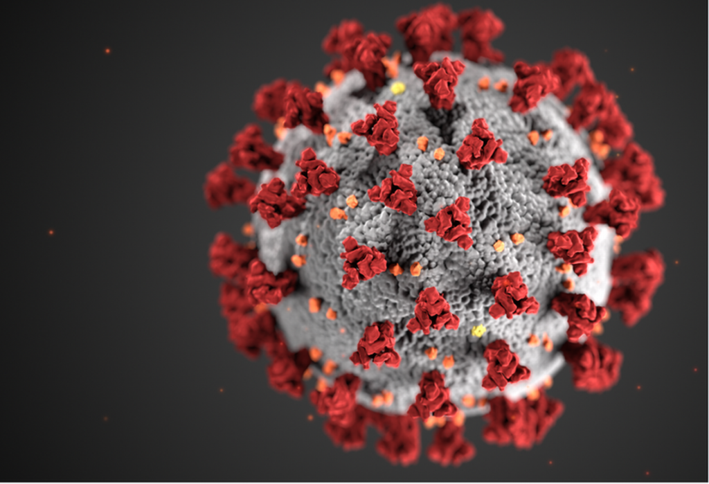 coronavirus